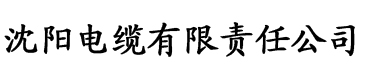 最近2019中文字幕视频免费看电缆厂logo